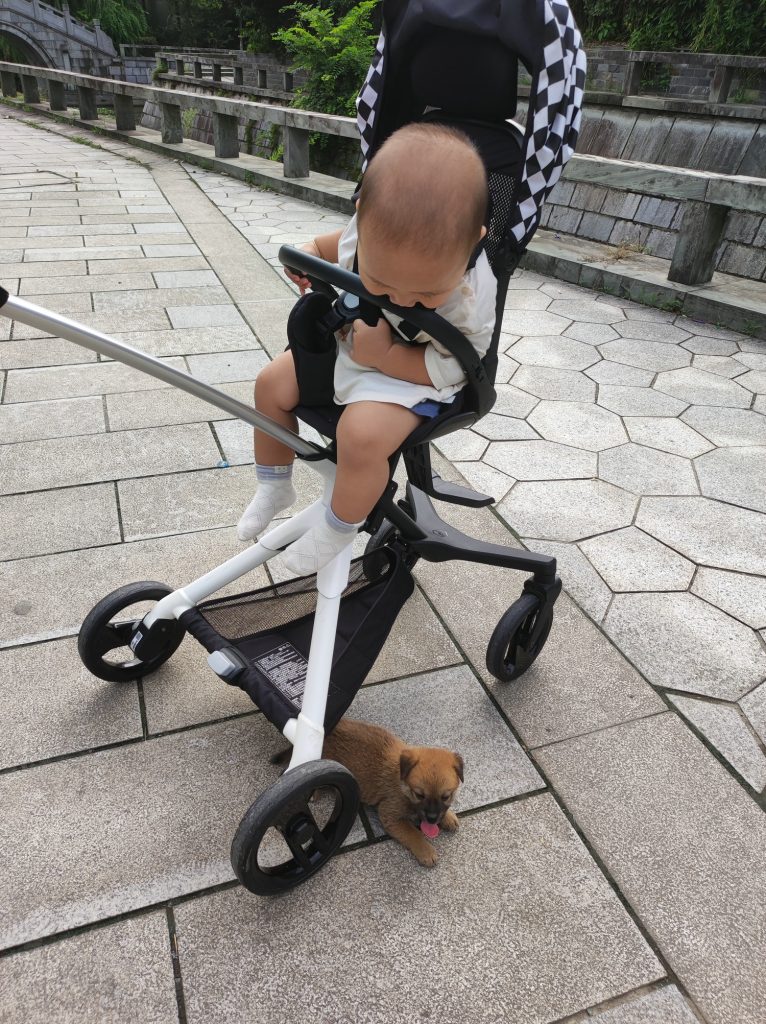 片刻图片