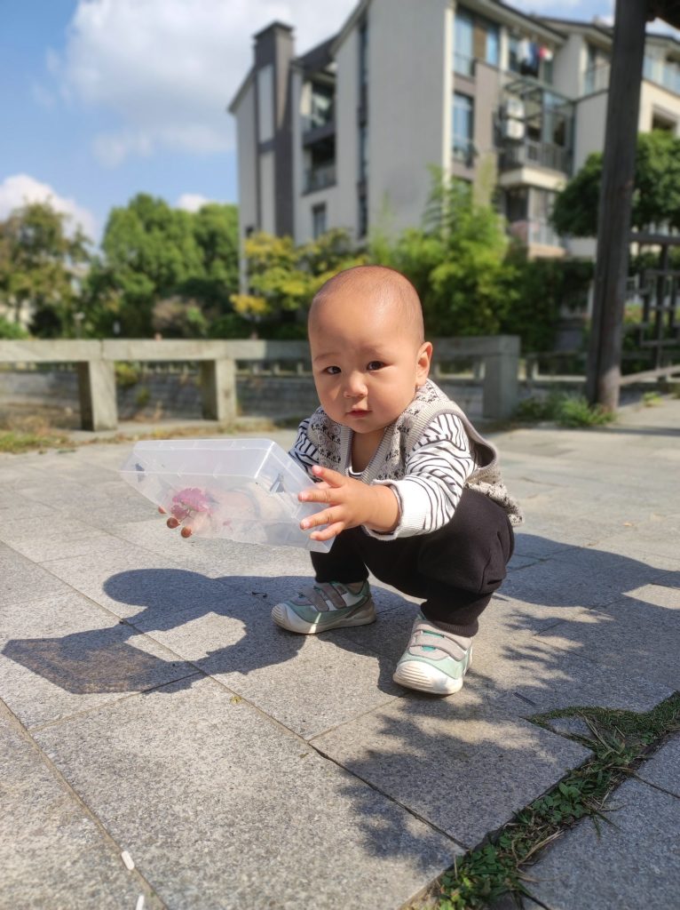 片刻图片